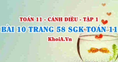 Bài 10 trang 58 SGK Toán 11 tập 1 Cánh Diều